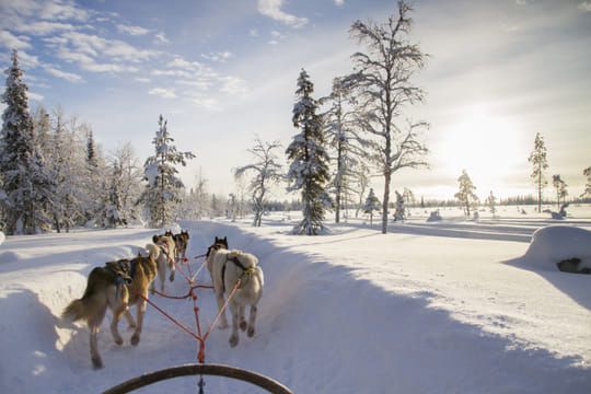 Day Full of Adventures - Day Package