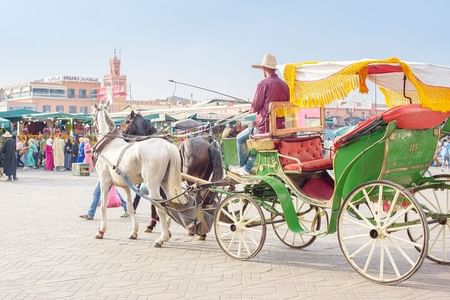 Marrakech: Private Horse carriages Experience & hotel transfer