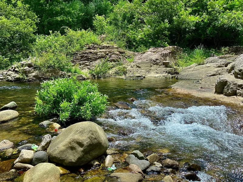Hangzhou: Lin'an Hidden Valley Stream Day Trip