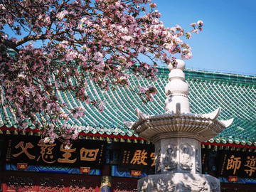 Chengdu Mahjong Experience Multilingual Guide
