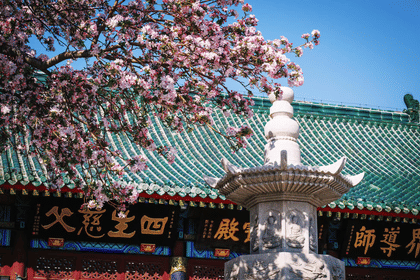 Tianjin One-Day Tour: Dule Temple, Tianhou Palace, Dabei Chanyuan, and Tianjin Eye Ferris Wheel