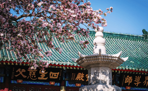 One-Day Cultural Tour of Tianjin: Dule Temple and More