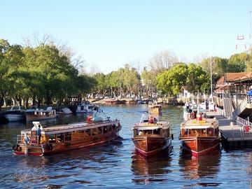 Tigre