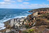 The wild side of Granite Island, Victor Harbor