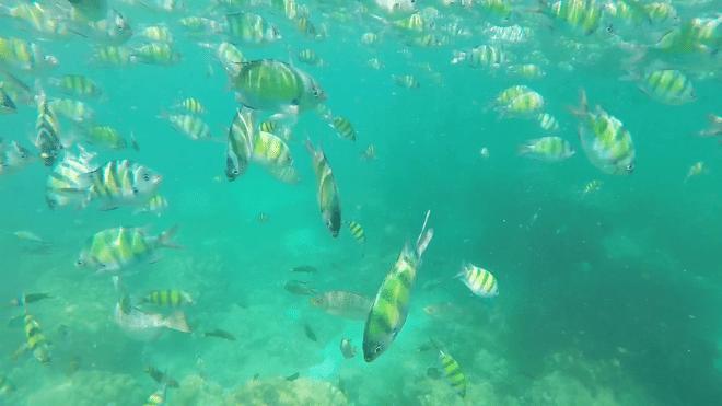 Phi Phi Island Deluxe Plus 4 Islands 9