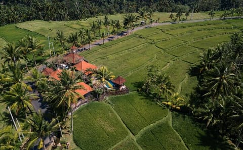 ATV Adventure Tour Through Scenic Ubud in Abiansemal