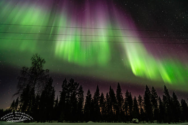 Northern Lights Hunting from Kemi - Kemi photo 6