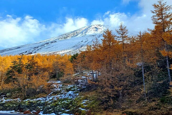 3 Days Private Tour Tokyo, Mt. Fuji and Hakone