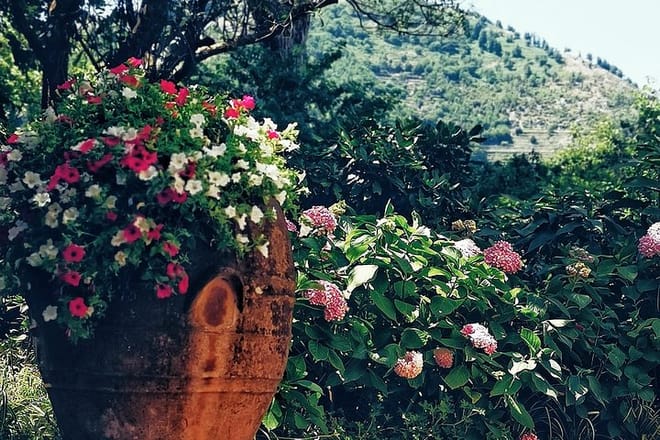 Private full day tour to Capri with grottos photo 4