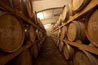 Edoardo Miroglio Private Boutique Winery Tour from Sliven 7