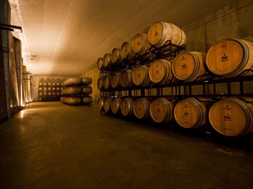 From Granada: Almuñecar city and winery visit