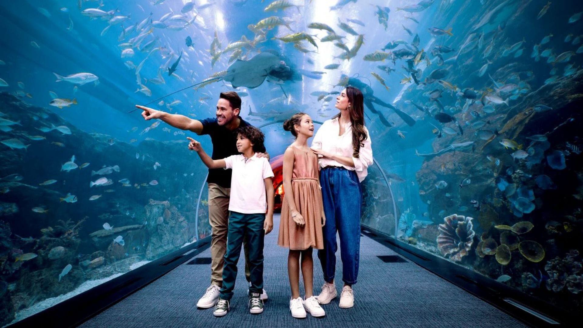 Dubai Mall Aquarium & Underwater Zoo Tickets