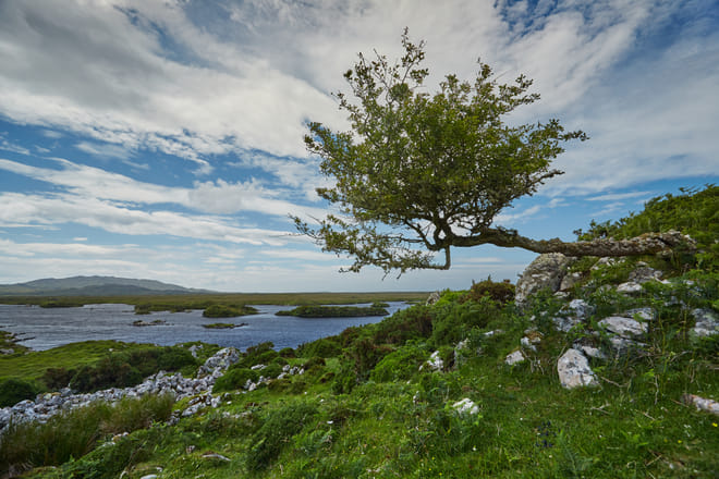 Explore Connemara National Park. Galway, Self-Guided. 2