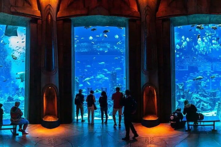Atlantis -Lost-Chambers Aquarium- in Dubai
