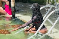 Zanzibar Cultural and Turtle Experience Tour 8
