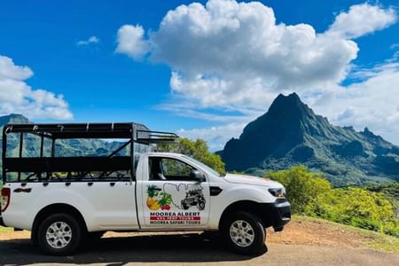 ALBERT TOURS :Excursion SAFARI 4x4 with private SWING view point