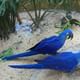 Bird Park
