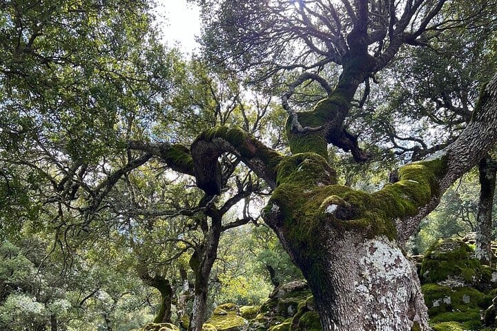 VIP Luxury Private Tour – Full Day – 4×4 Excursion with LandRover