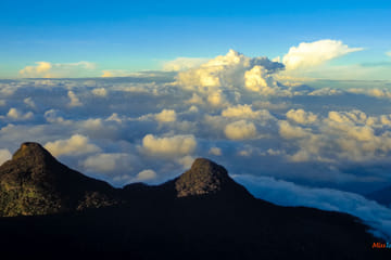 SAFARI ADAM’S PEAK