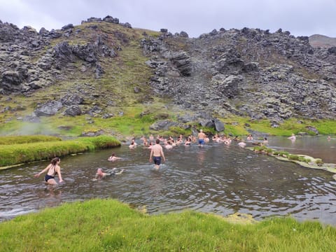 Highlands Hiking: Small Group Landmannalaugar Hike & Hot Springs - Without transfer, photo 5