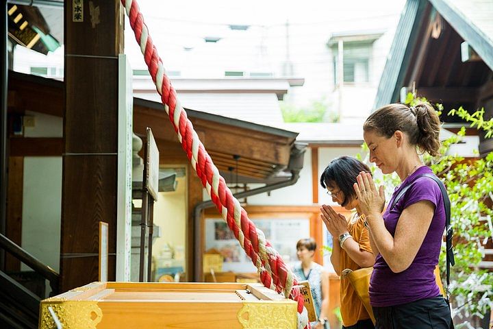 Tsukiji Fish Market Food and Culture Walking Tour
