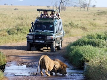 4-Day Masai Mara and Lake Naivasha Safari Tour in Kenya