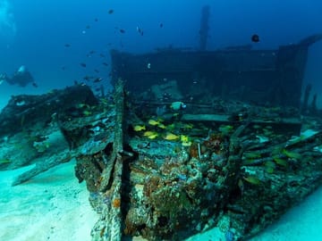 Scuba Diving Adventure in Colombo's Vibrant Waters