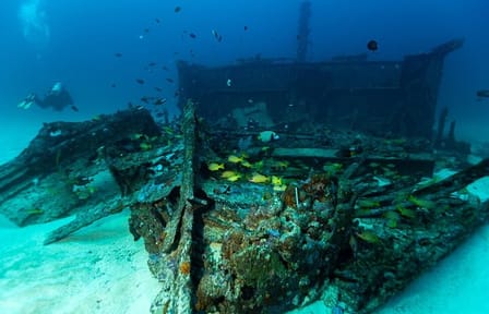 Scuba Diving in Colombo