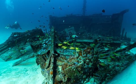 Scuba Diving Adventure in Colombo's Vibrant Waters