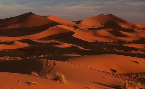 Sunset Walking Tour of Erg Chebbi Dunes in Merzouga