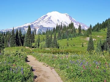 Private Full-Day SUV Tour of Mt Rainier National Park