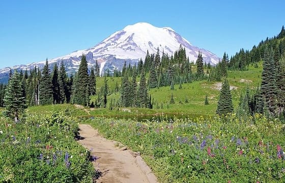 Full-Day Mt Rainier National Park Private Tour in SUV