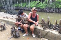 Explore Monkey Islands and Gio Mangrove Forest From Ho Chi Minh 1