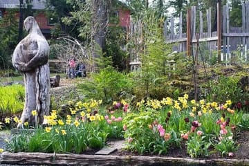 Vancouver to Nanaimo, Ucluelet, Tofino 2 Days Harbour City Tour Private