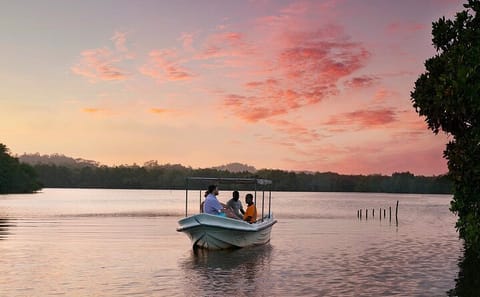 Bird Watching Day Tour in Muthurajawela from Negombo