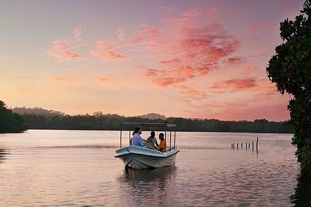 Muthurajawela Bird Watching Tour: Explore Sri Lanka's Avian Paradise