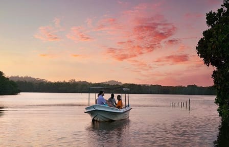 Bird Watching Day Tour in Muthurajawela from Negombo