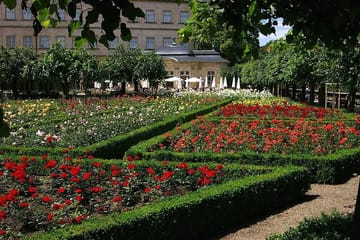 Bamberg Walking Tour: UNESCO Cathedral and Old Town Highlights