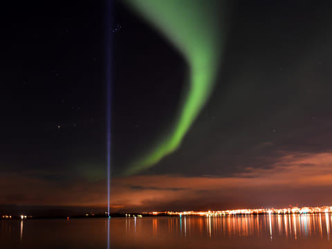 Horses & Northern Lights by boat, photo 2