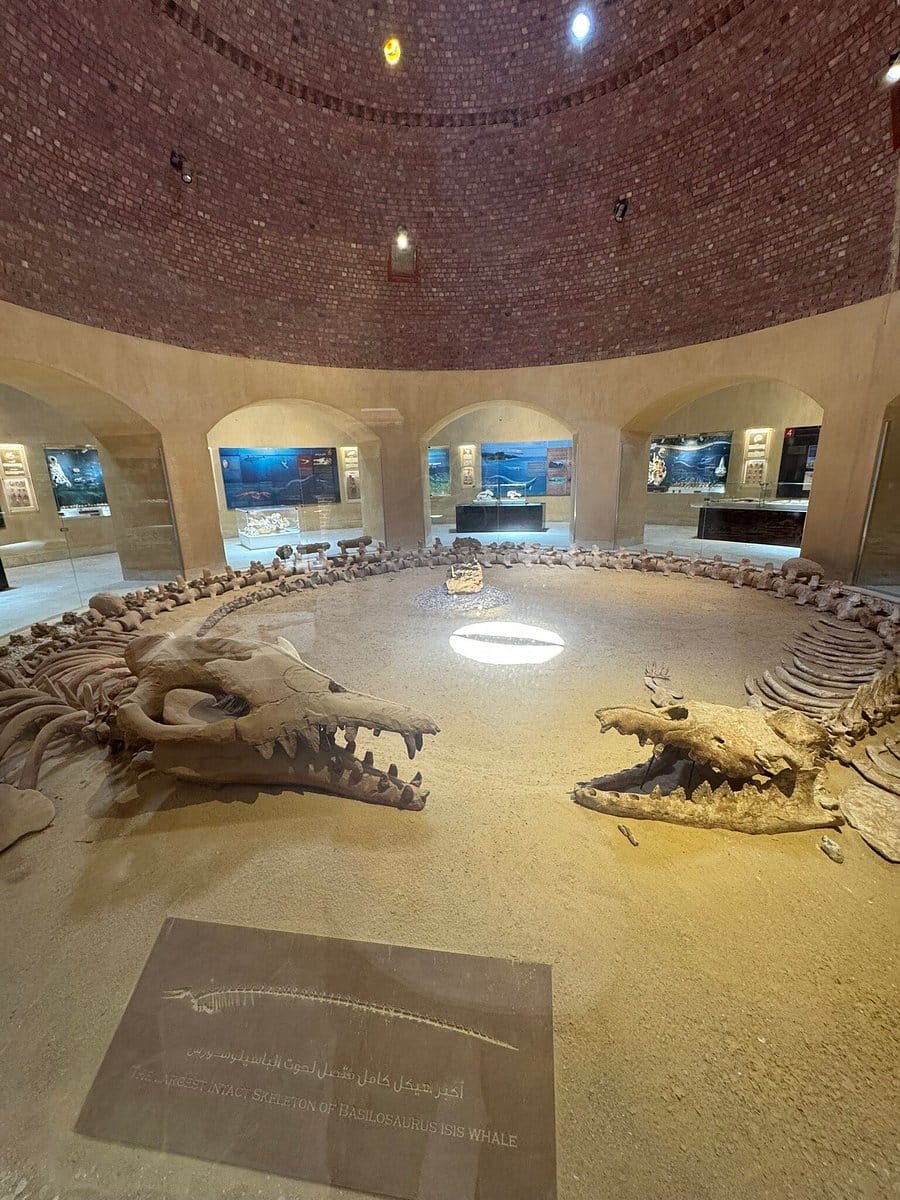 Cairo Multi Days Tour