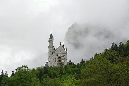 Explore Bavarian Heritage: Munich to Neuschwanstein Tour