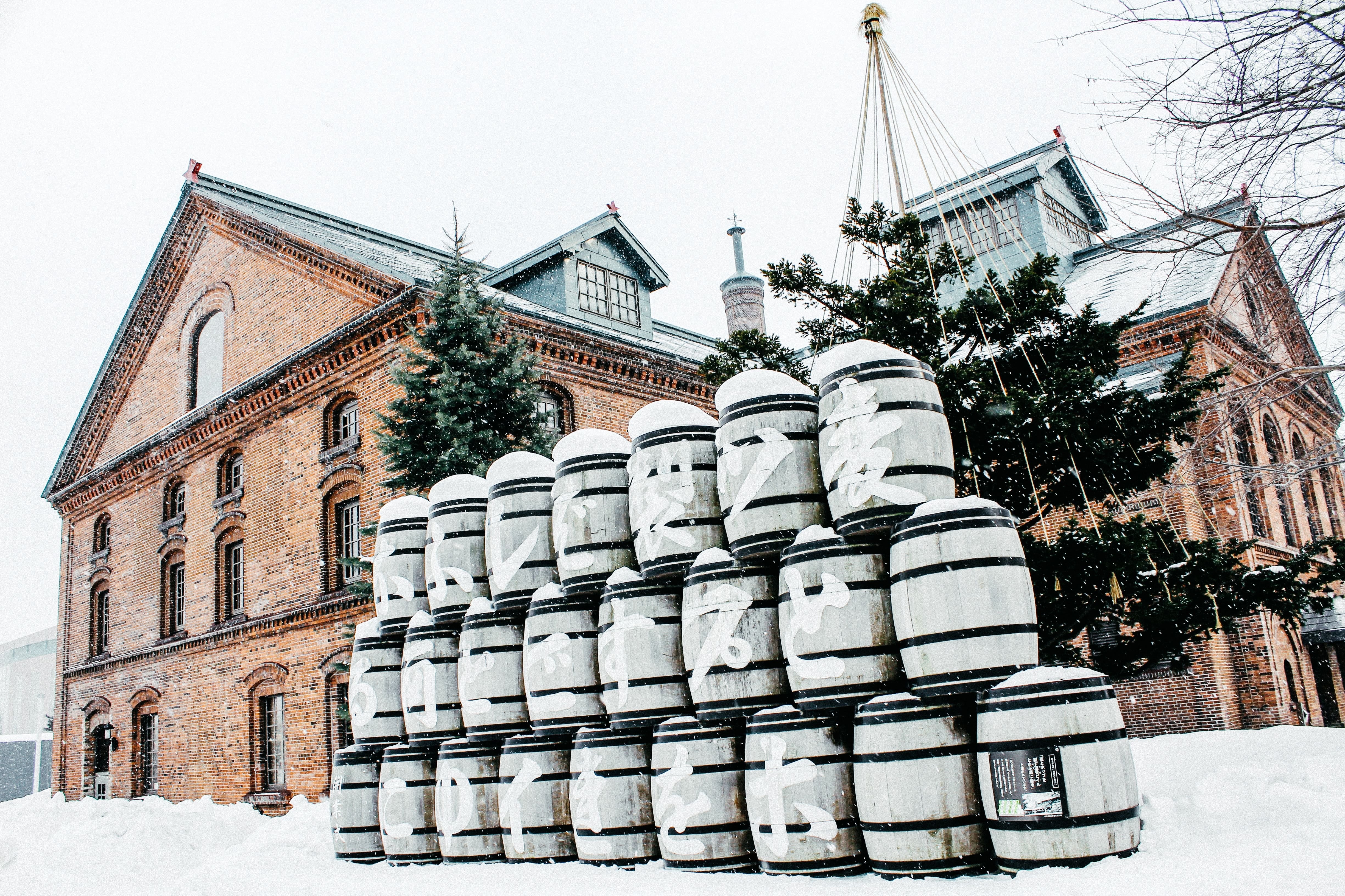 Sapporo Custom Day Tour