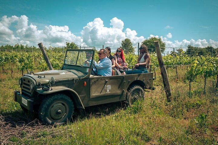 Classic: Tuscan Vineyard Old Jeep Tour, Wine Tasting & Lunch