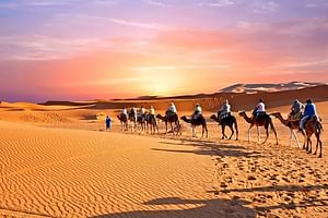 11 Days Grand Morocco Tour from North to South