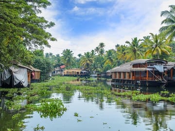 Backwater, Tea Estates, Temples & Palaces Tour from Cochin to Bangalore