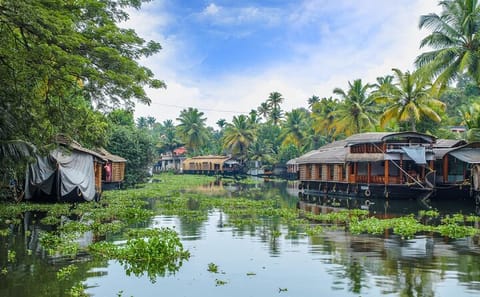 Backwater, Tea Estates, Temples & Palaces Tour from Cochin to Bangalore