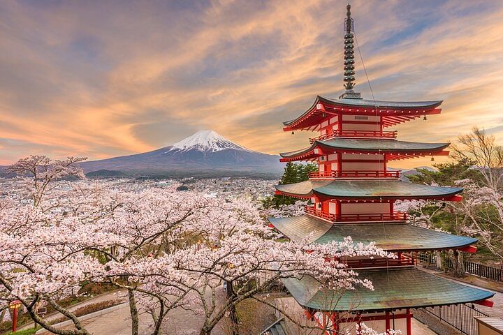 2-Day Tour: Mt Fuji and Tokyo Private Wagon & English Driver