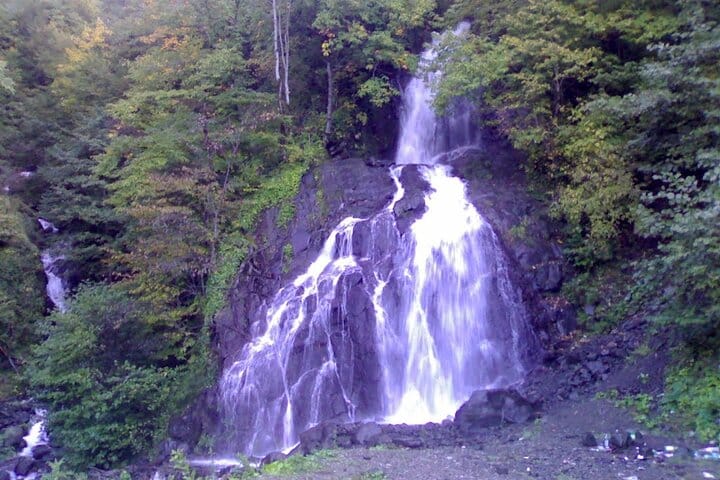 4 Full days in Georgia with private tour, free aiport