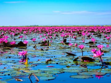 Explore North Isaan and the Mekong on a Guided Tour from Bangkok