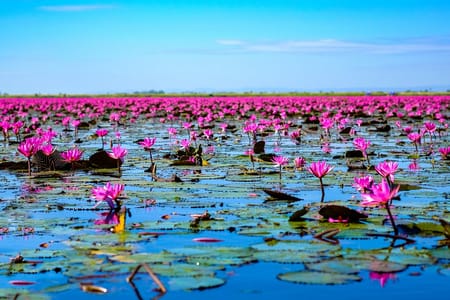 North Isaan and the Mekong, Small Group Tour